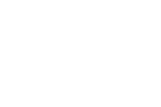 Paulo Laureano Vinus